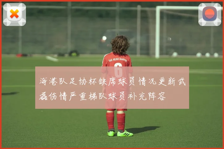 海港队足协杯缺席球员情况更新武磊伤情严重梯队球员补充阵容