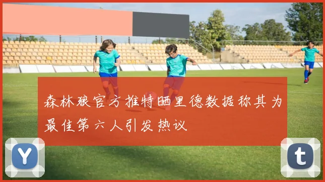 森林狼官方推特晒里德数据称其为最佳第六人引发热议